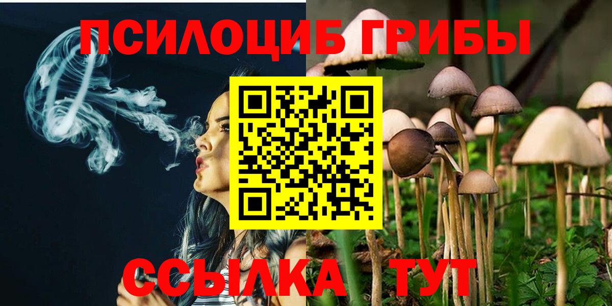 Галлюциногенные грибы мицелий Сергиев Посад