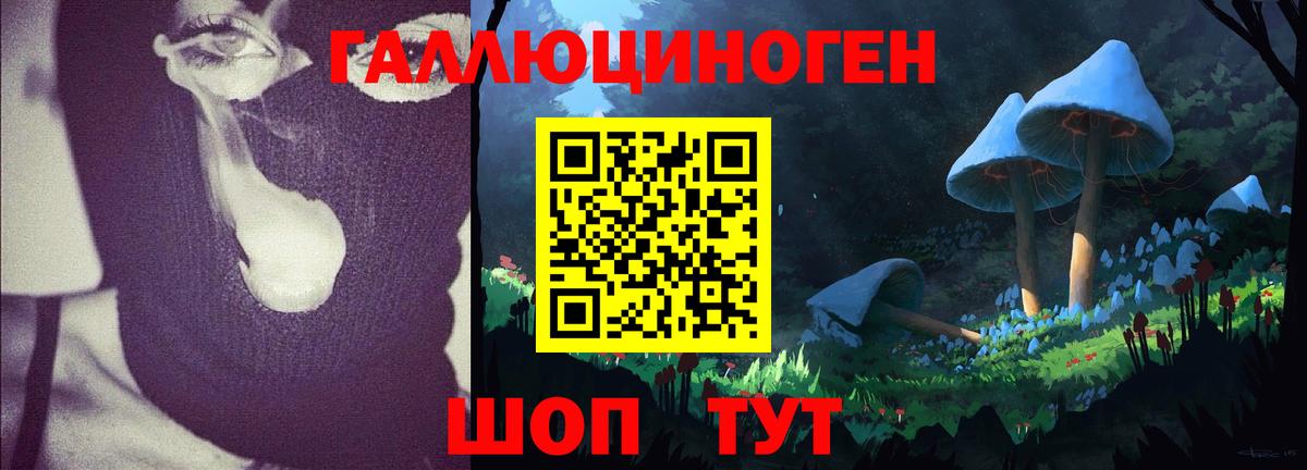 Псилоцибиновые грибы Psilocybe  Вход с VPN  Галлюциногенные грибы GOLDEN TEACHER  Сергиев Посад 